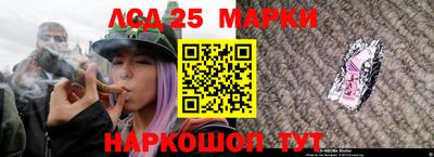 гашик Шелехов