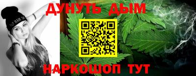 гашик Шелехов
