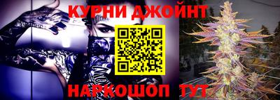 гашик Шелехов