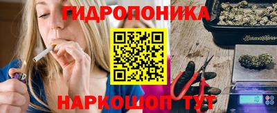 гашик Шелехов