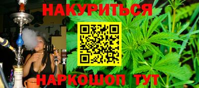 гашик Шелехов
