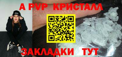гашик Шелехов