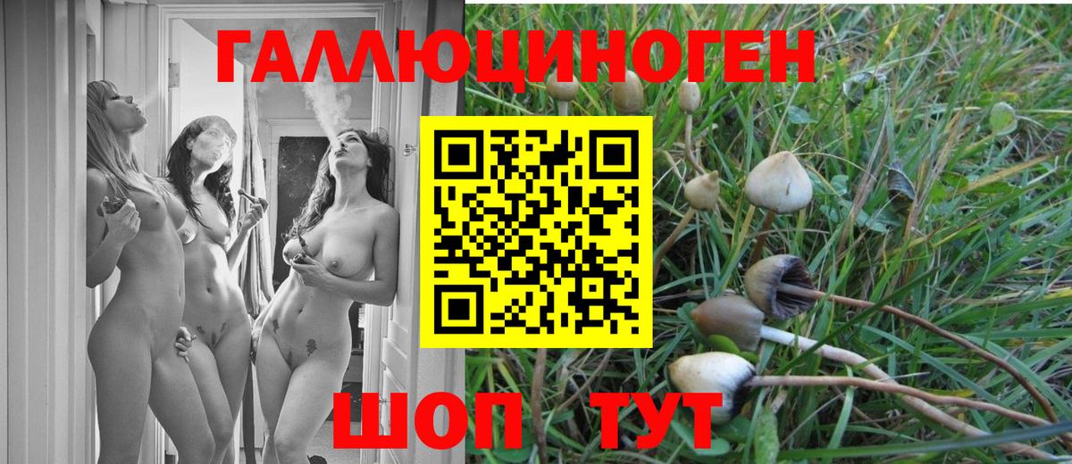 Галлюциногенные грибы GOLDEN TEACHER Касимов