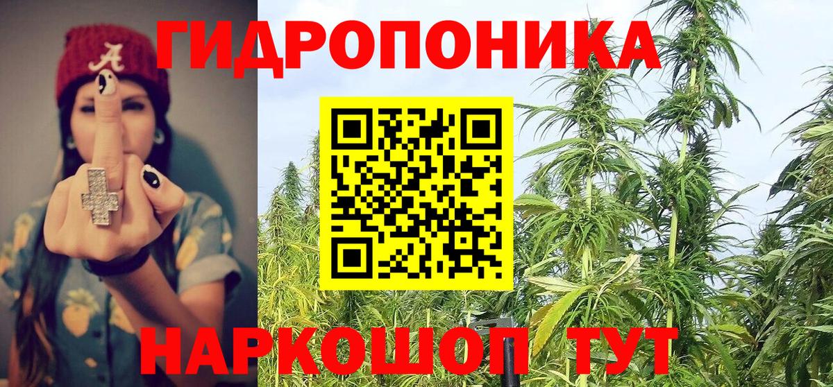 Марихуана индика  МАРИХУАНА марихуана  Каннабис VHQ  Вход с VPN  Касимов  Канабис планчик 